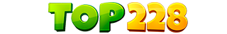 TOP228